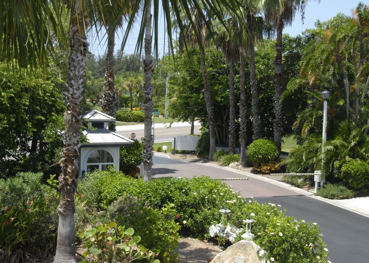 1 Bedroom Condo Rental in Siesta Key, FL Siesta Key Condos Gulf