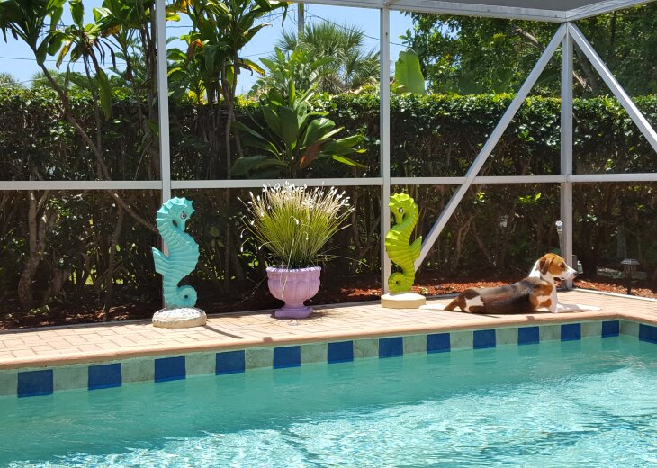 2 Bedroom House Rental in Sarasota, FL Tropical Pool Home Near Siesta