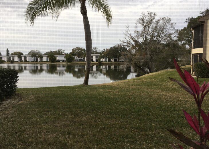 Oldsmar Condo Rental Family friendly gated community, close to