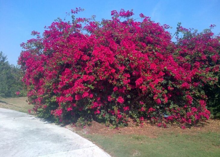 Sarasota Condo Rental Condo at Friendly Stoneybrook Golf Club in Sarasota