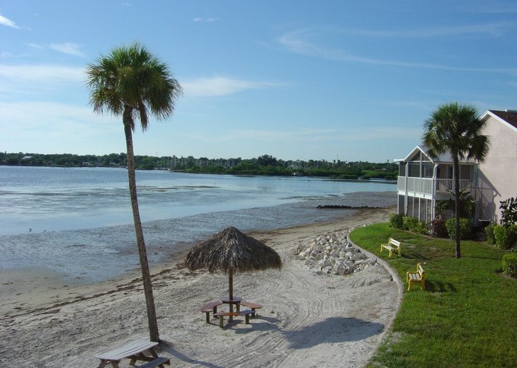 1 Bedroom Condo Rental in St. Petersburg, FL - Bermuda Bay Beach and