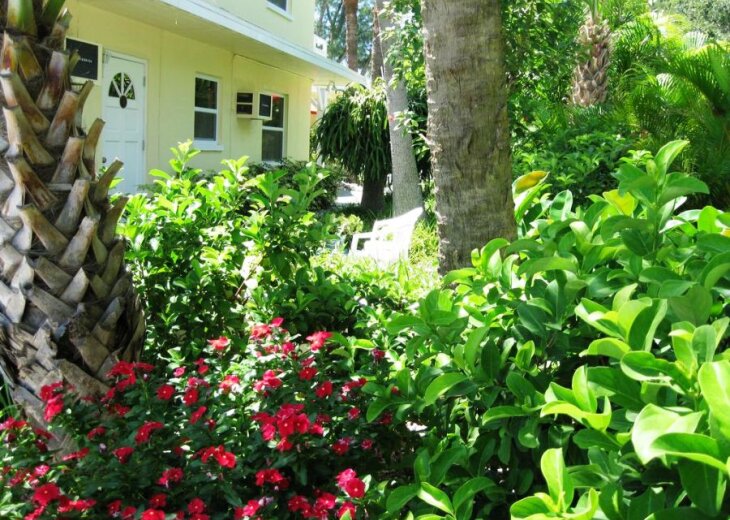 1 Bedroom Cottage Rental In Indian Rocks Beach Fl Sandy Shores