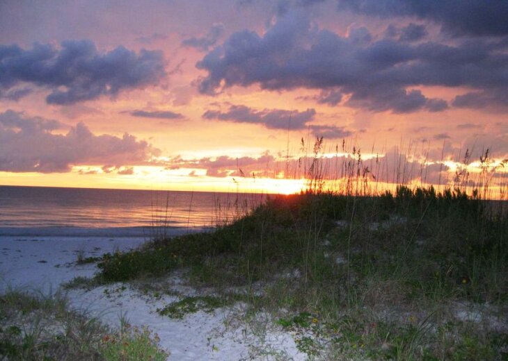 1 Bedroom Cottage Rental In Indian Rocks Beach Fl Sandy Shores