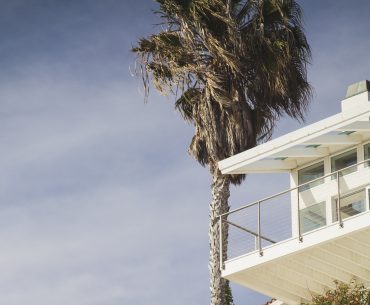 Beach house with palm tree