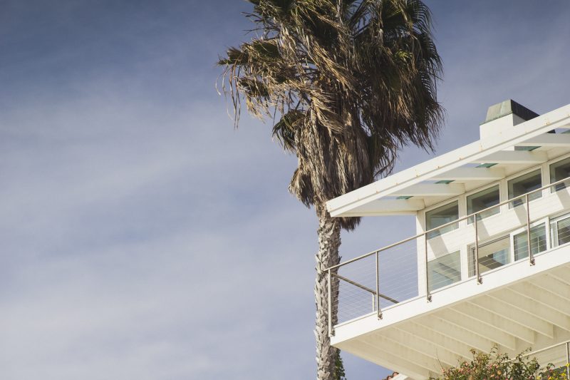 Beach house with palm tree