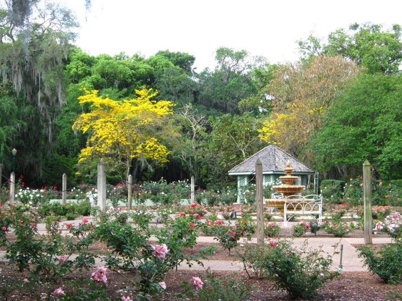 Flower Power Florida S 8 Most Beautiful Botanical Gardens