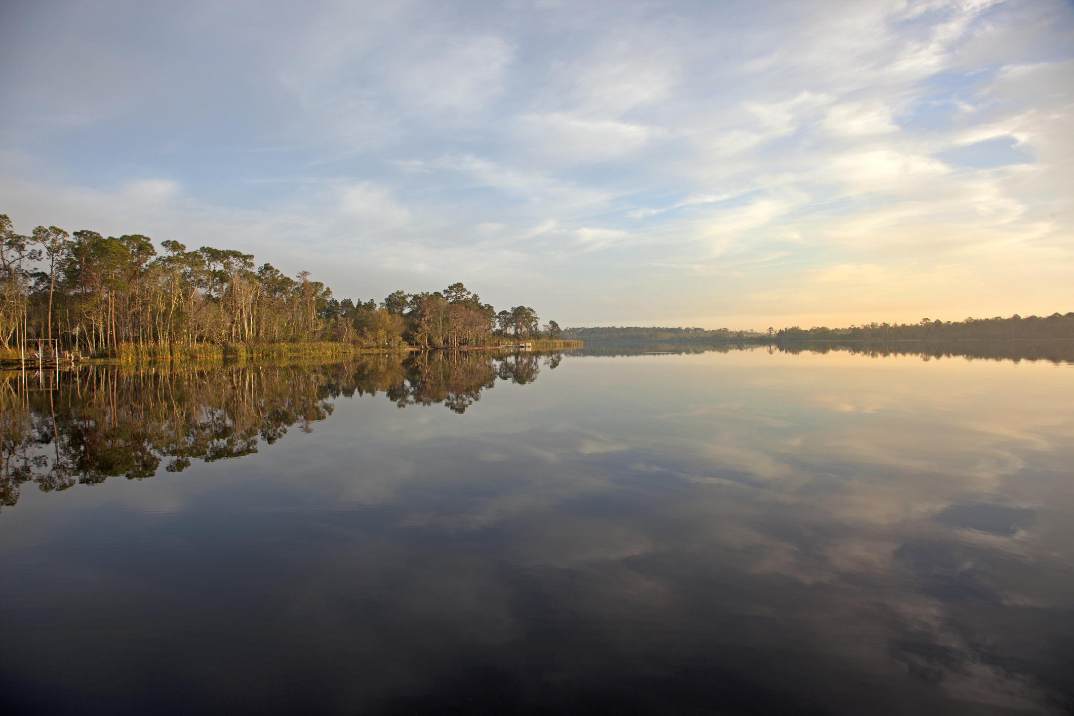 Best Things To Do In Davenport, FL - Florida Rentals Blog